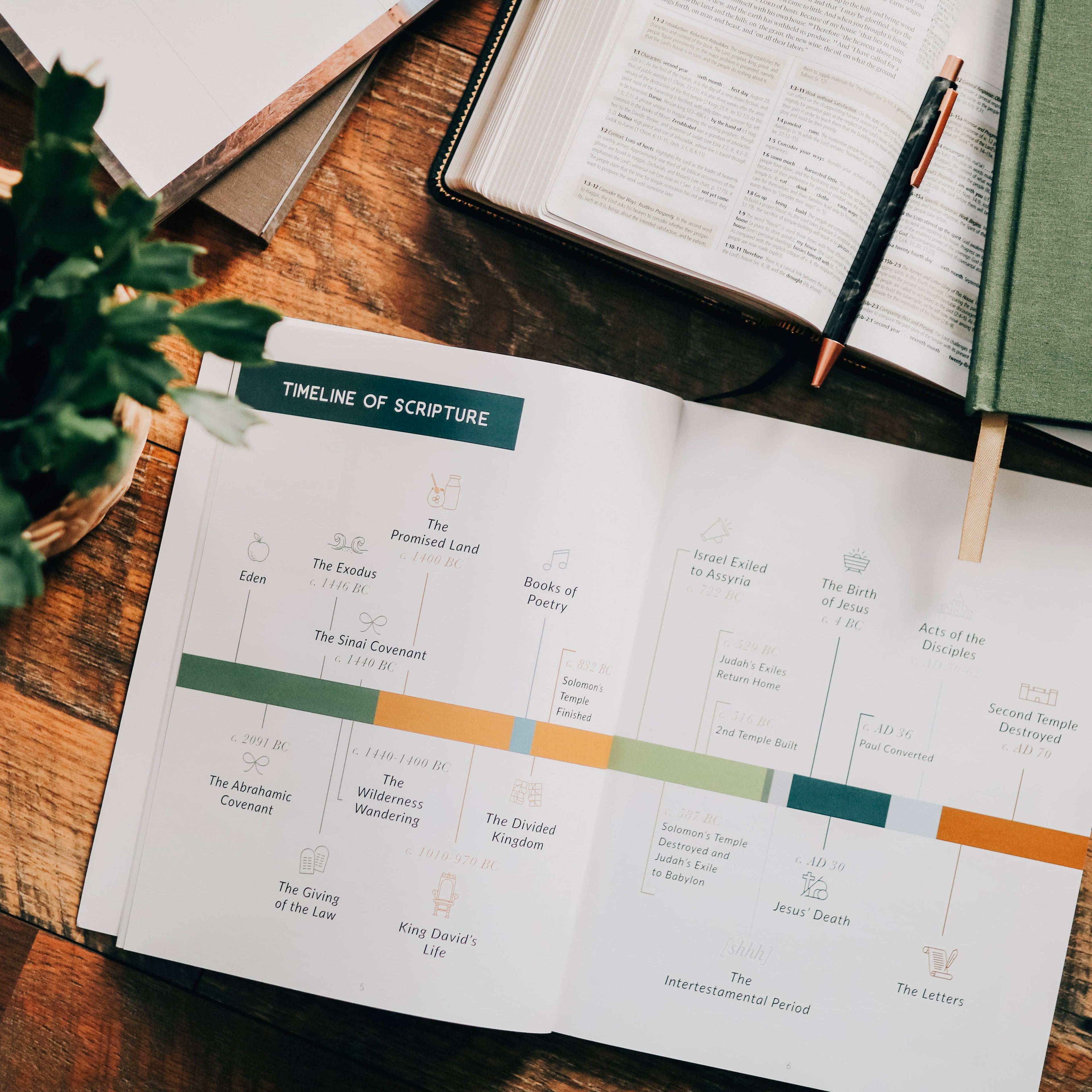Study | Amen: The Story of Scripture from Eden to Eternity