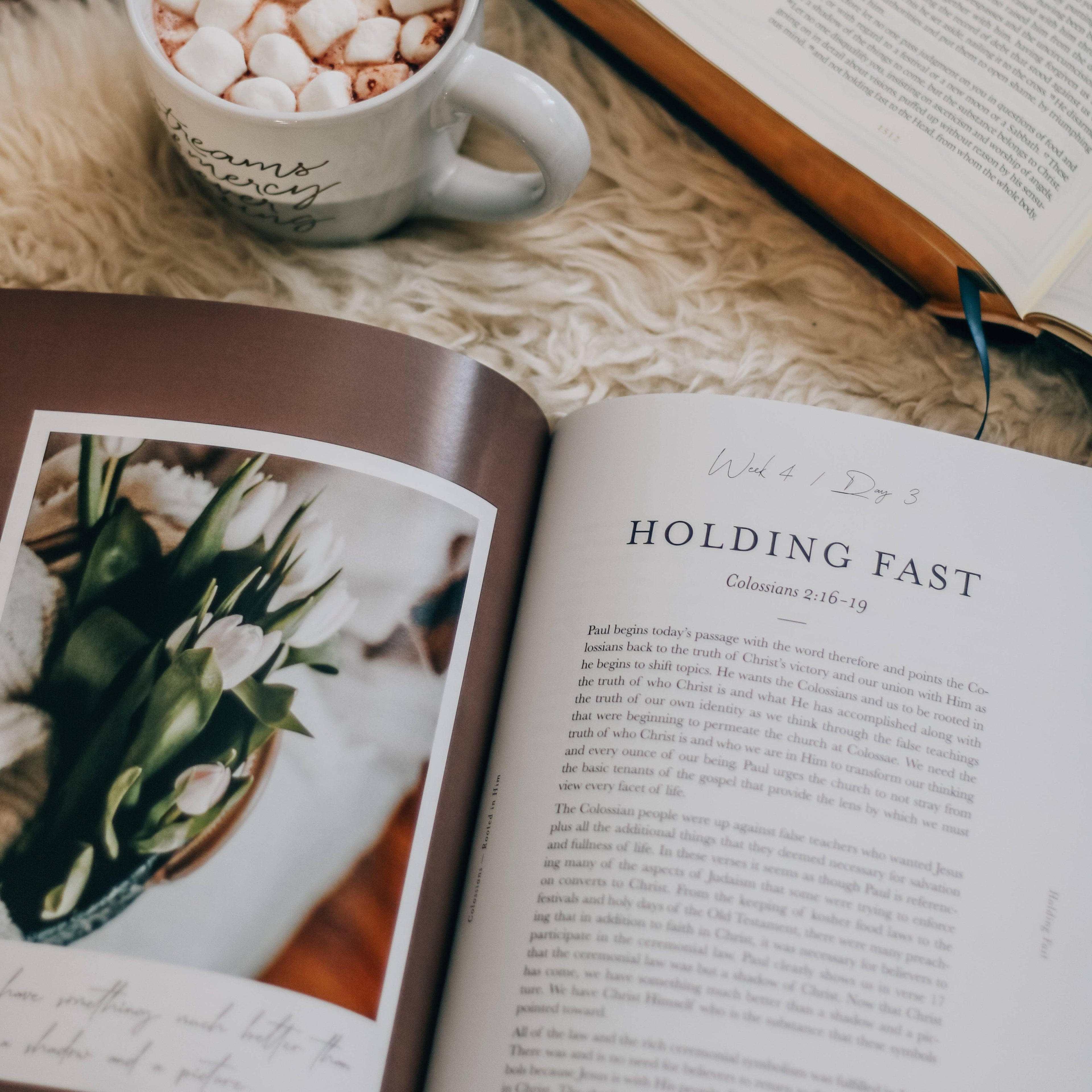 Study | Rooted in Him- Colossians