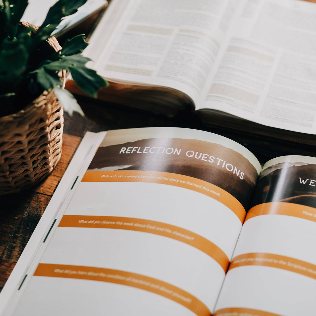 Study | Amen: The Story of Scripture from Eden to Eternity