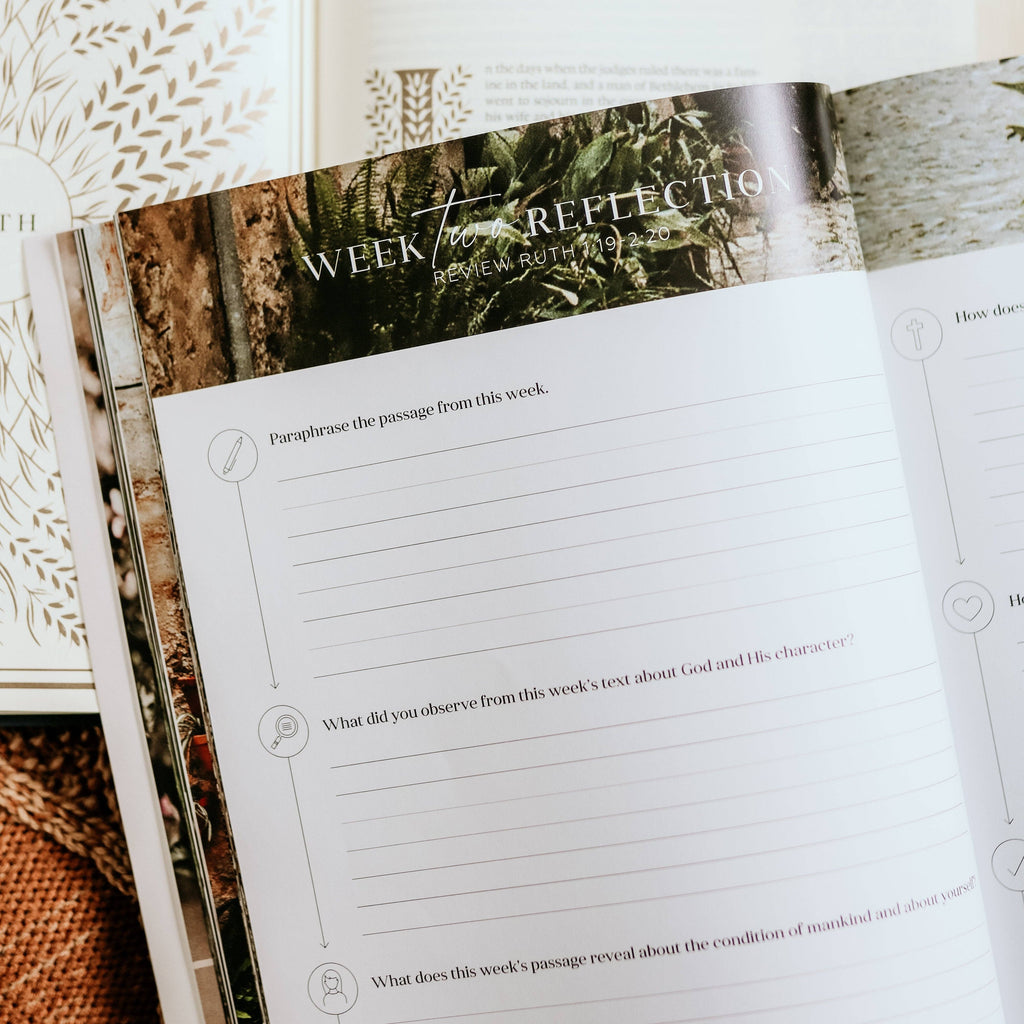 Study | Ruth: Fields of Grace
