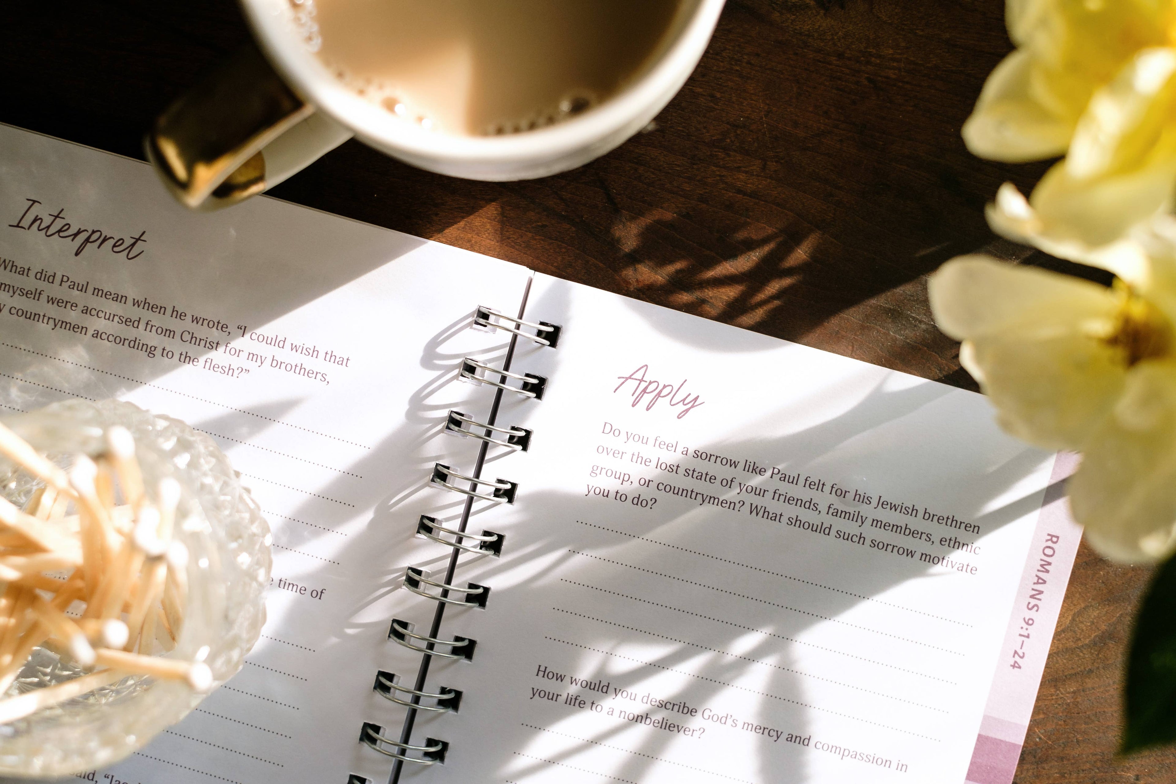 Study | Romans: An All-in-One Study on Salvation and New Life