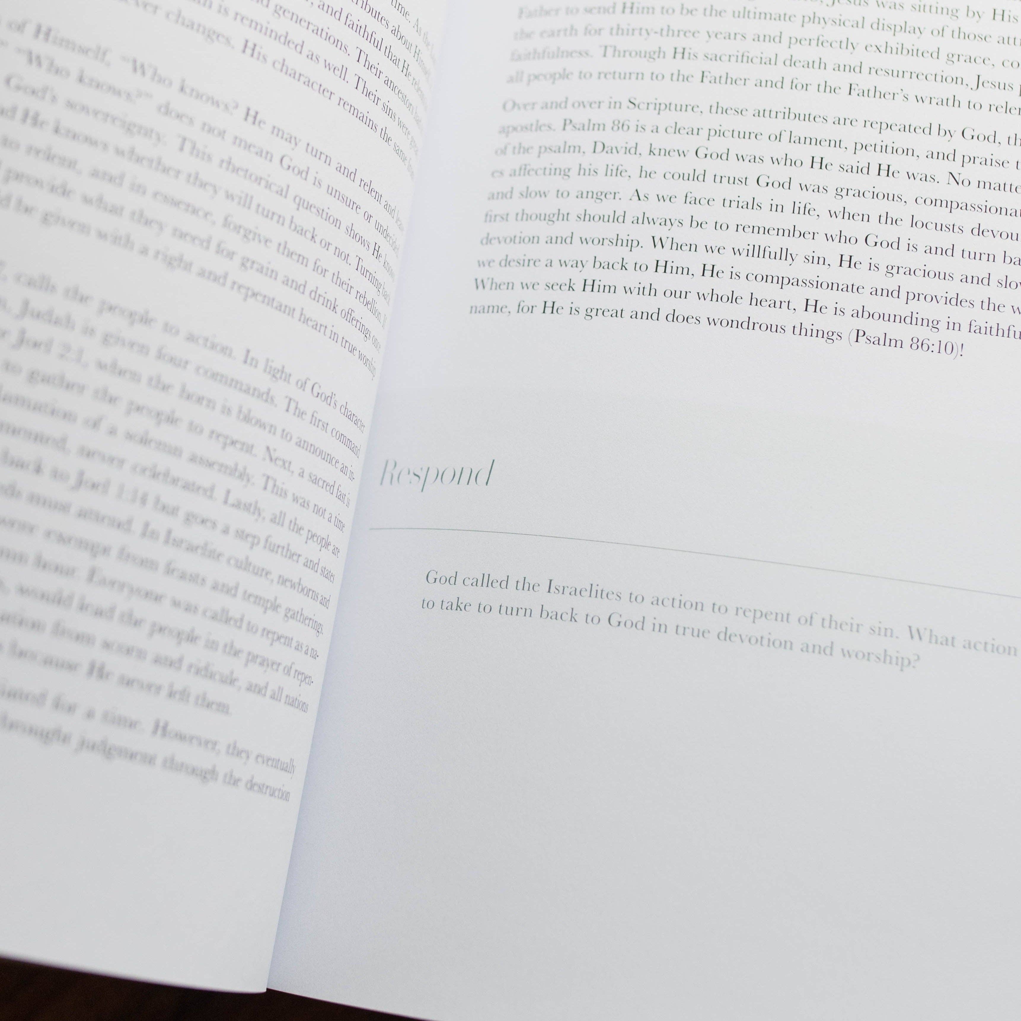 Study | Restored- A Study on the Book of Joel