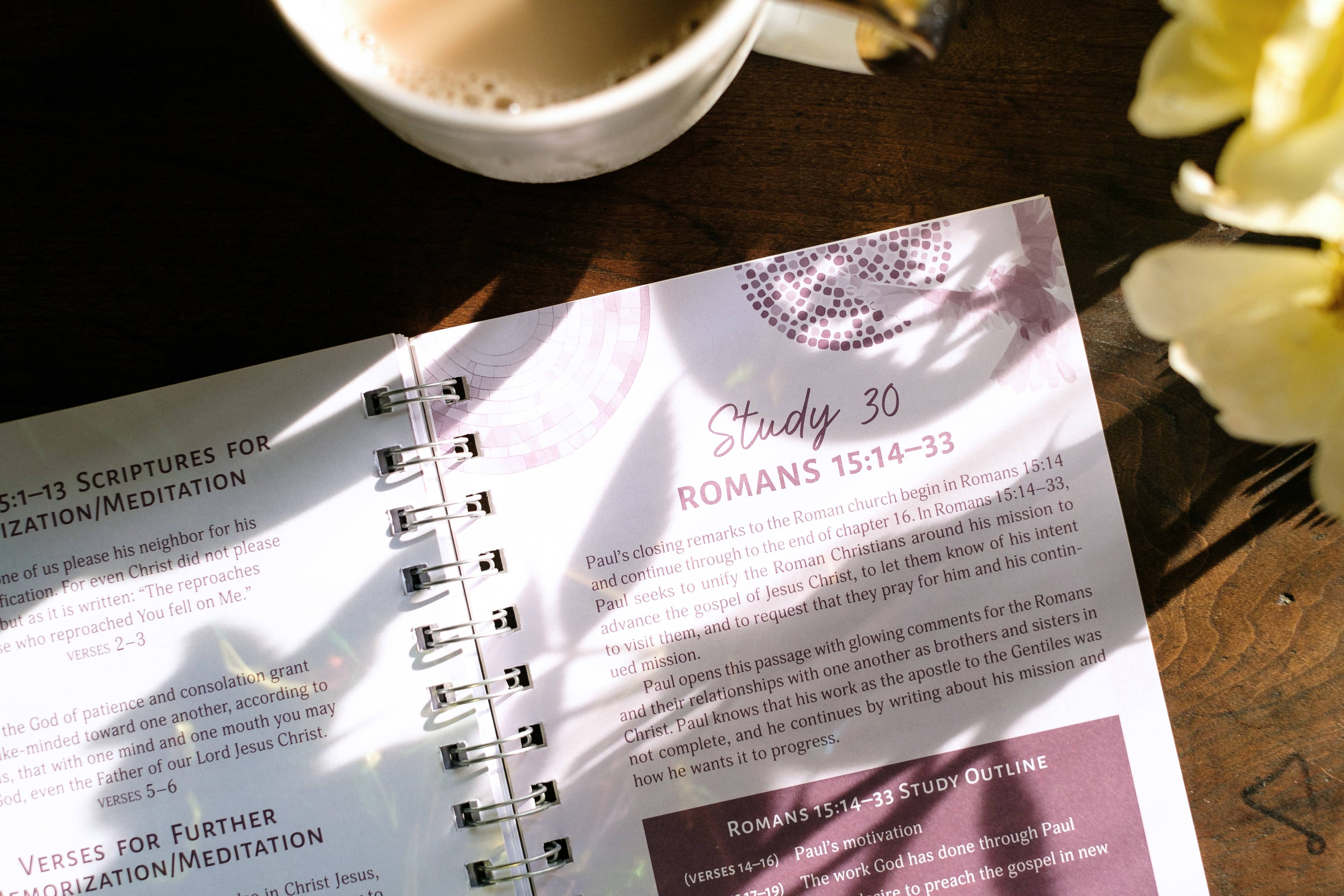 Study | Romans: An All-in-One Study on Salvation and New Life