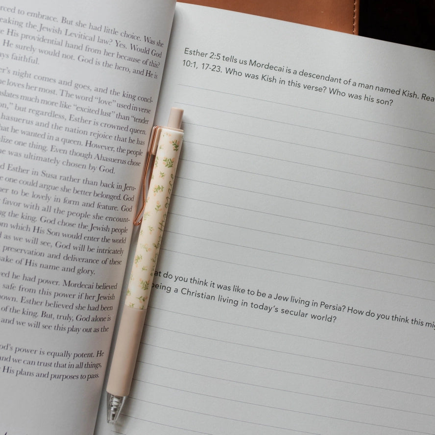 Study | Esther| 3 Week Study | Seeing God when He is silent