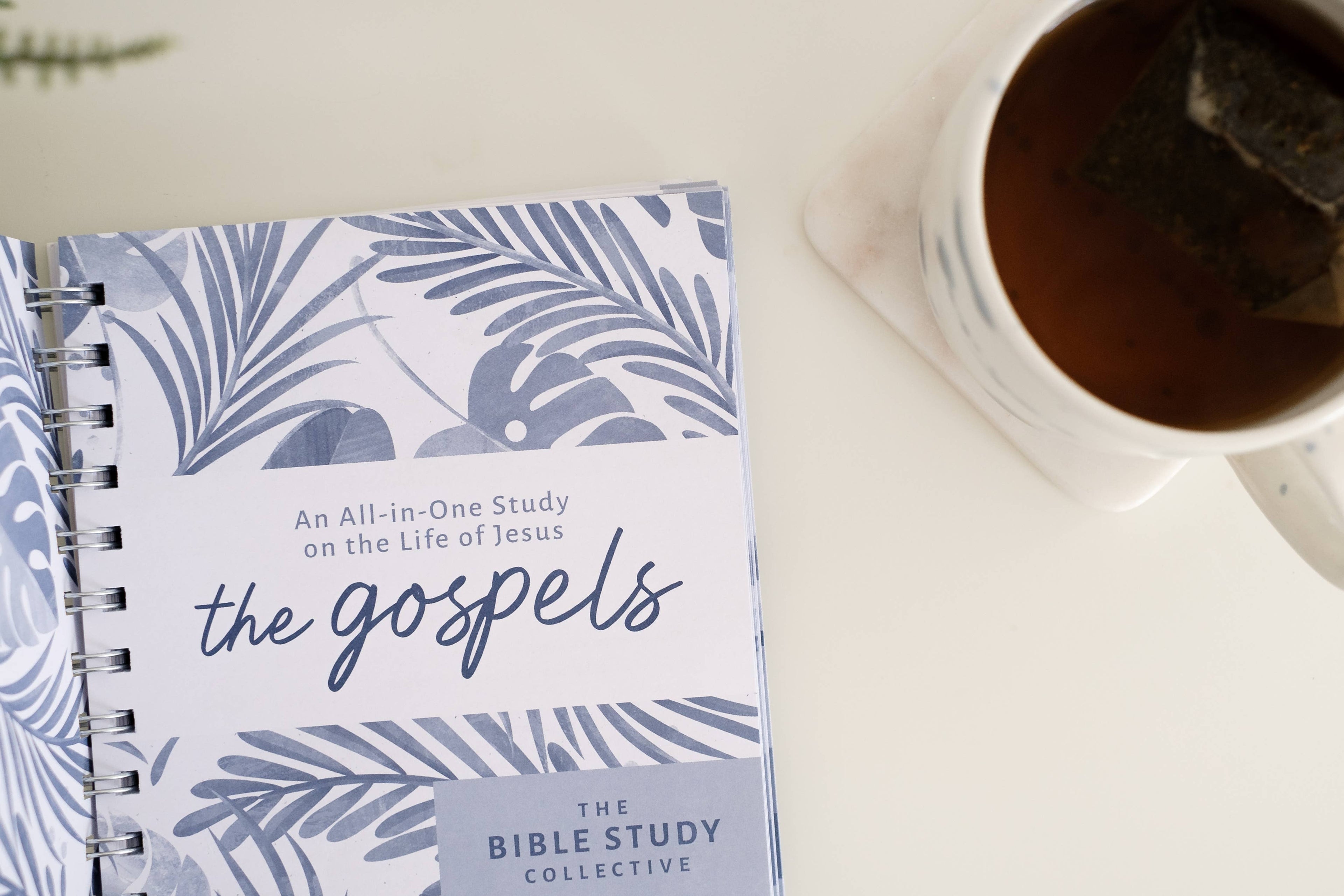 Study | The Gospels