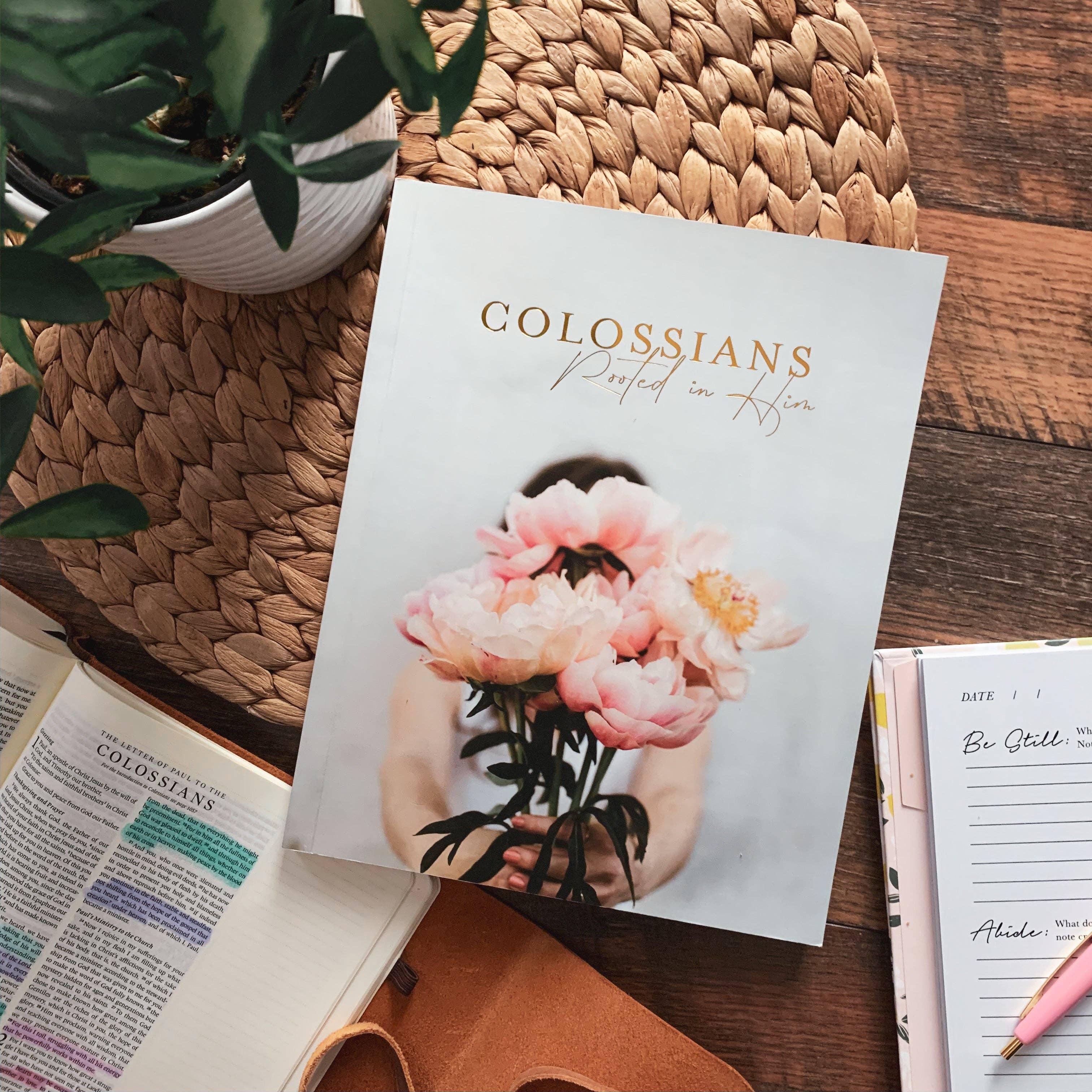 Study | Rooted in Him- Colossians