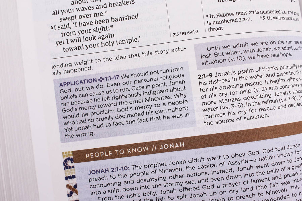 Bible | NIV Application Bible Leathersoft Brown Red Letter