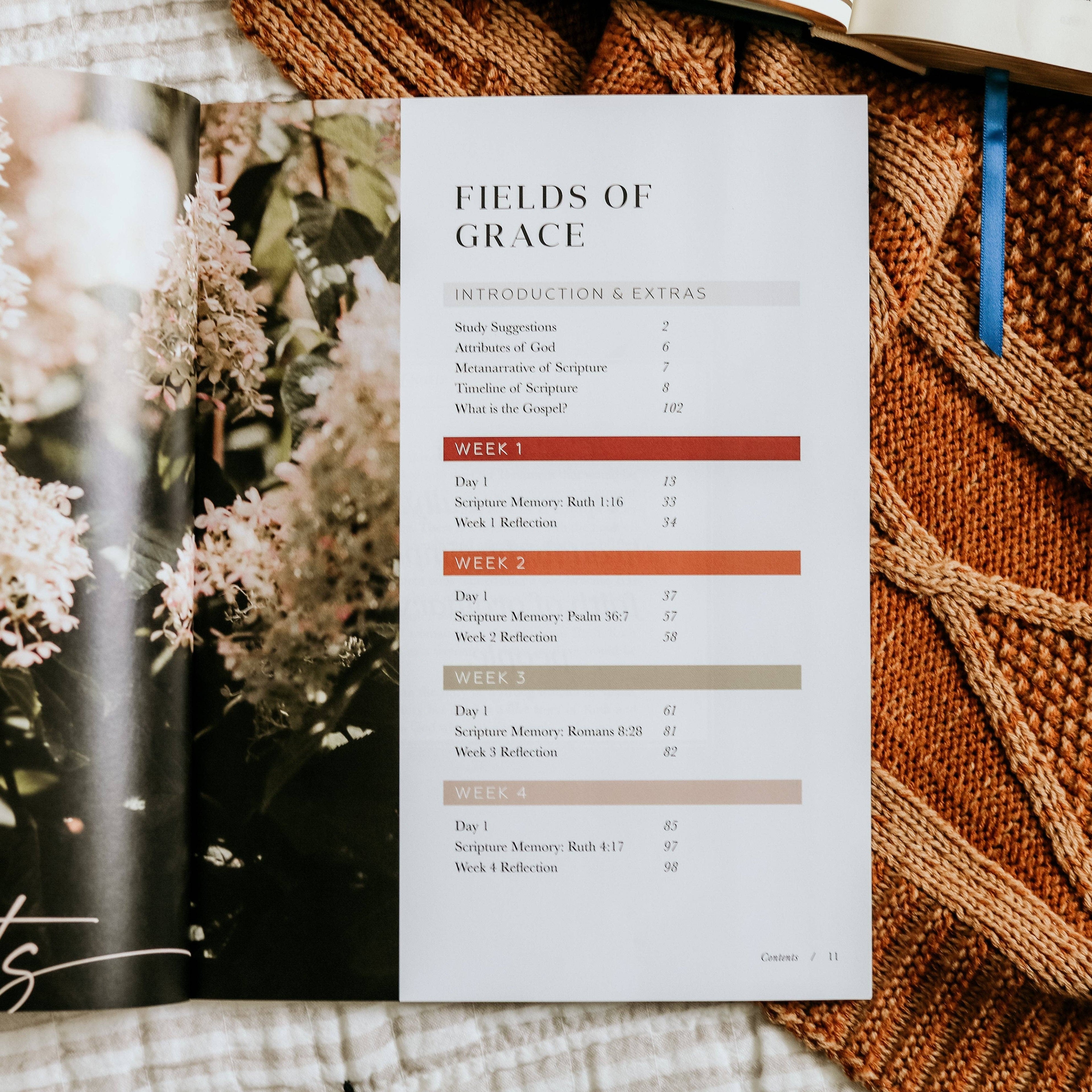 Study | Ruth: Fields of Grace