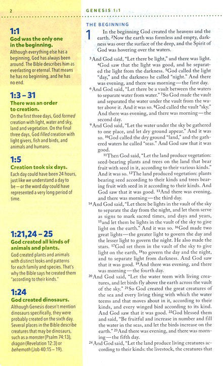 Bible | NIV, Kids' Visual Study Bible, Blue