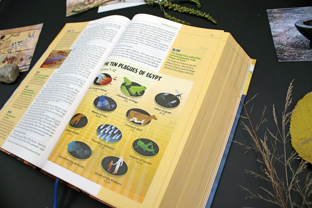 Bible | NIV, Kids' Visual Study Bible, Blue