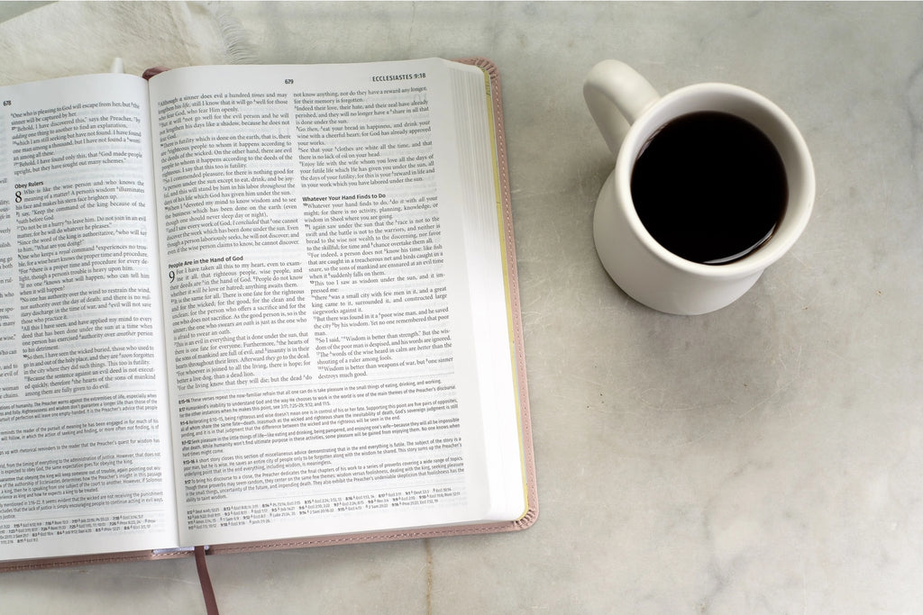 Bible | Light for Life NASB Study Bible- Blush Bouquet