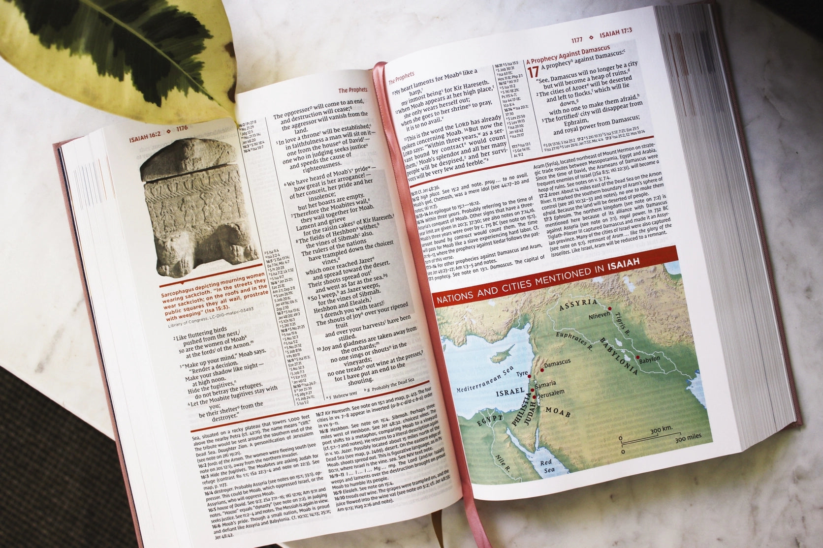 Bible | NIV Study, Fully Revised Edition- Cloth Over Board, Pink