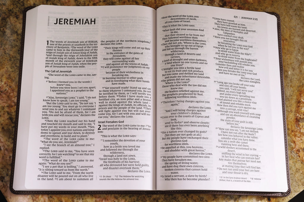 Bible | NIV Value Thinline Bible- Large Print, Leathersoft, Brown