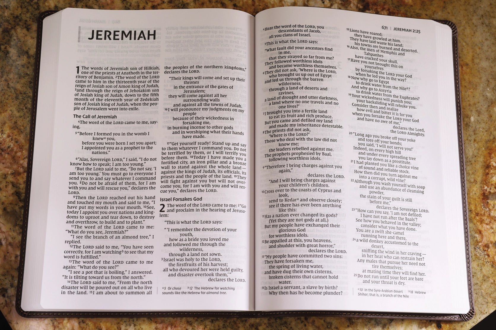 Bible | NIV Value Thinline Bible- Large Print, Leathersoft, Brown